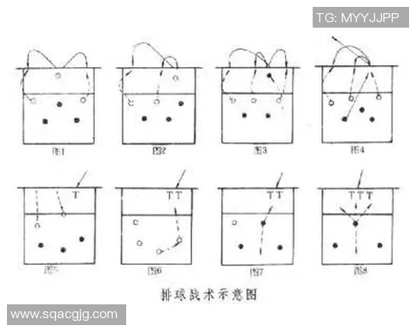 深圳排球队进攻体系解析与战术创新探讨 深圳排球队进攻体系解析与战术创新探讨