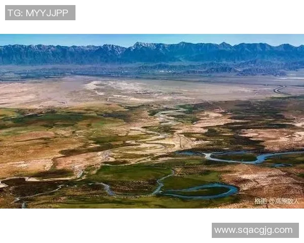 飞盘追梦：李芳的运动人生与心灵对话之旅