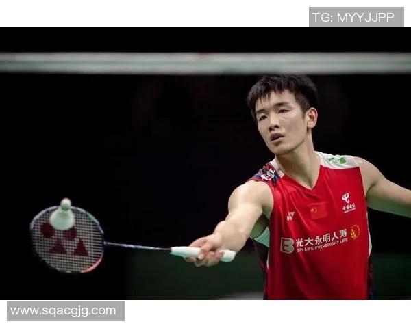 上海羽毛球队的奋斗历程与荣耀瞬间全景纪实