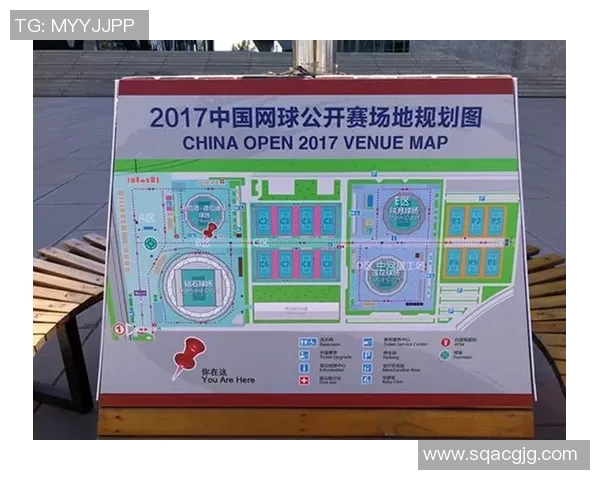 北京网球队实力分析：探秘他们的训练方法与比赛策略