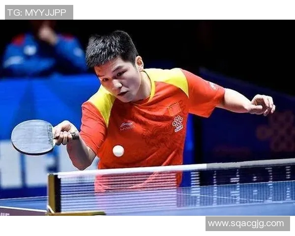 南京乒乓球队个人能力深度解析与发展策略探讨