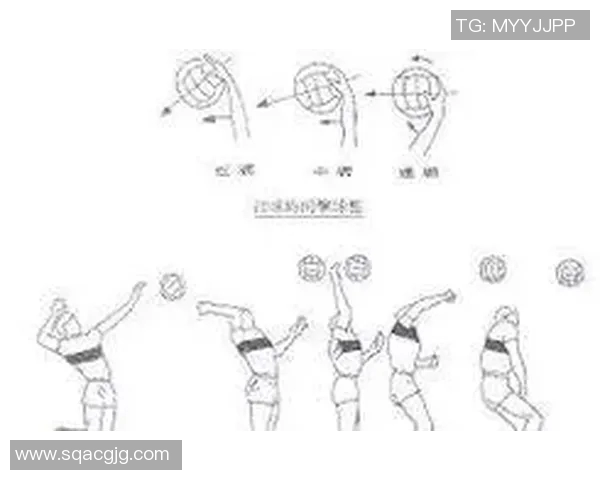 广州排球队的运营揭秘：深度解析排球运动背后的管理与策略