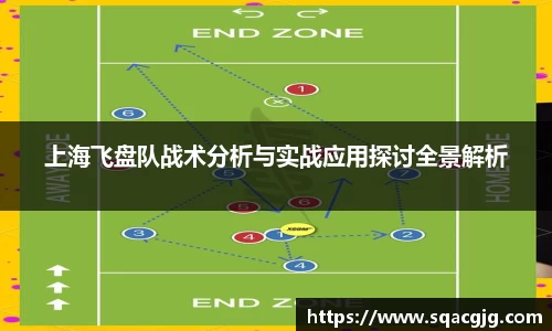 上海飞盘队战术分析与实战应用探讨全景解析