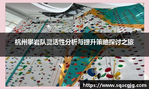 杭州攀岩队灵活性分析与提升策略探讨之旅