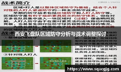 西安飞盘队区域防守分析与战术调整探讨