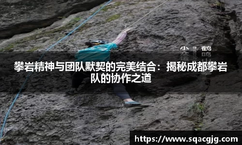 攀岩精神与团队默契的完美结合：揭秘成都攀岩队的协作之道
