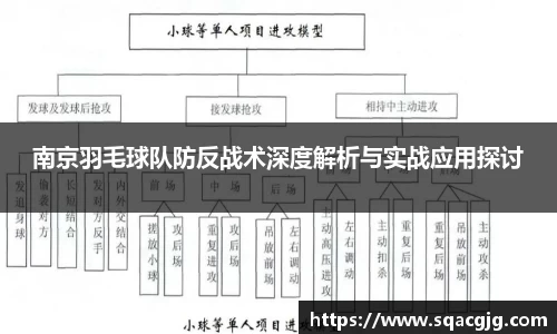 南京羽毛球队防反战术深度解析与实战应用探讨
