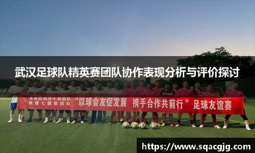 武汉足球队精英赛团队协作表现分析与评价探讨